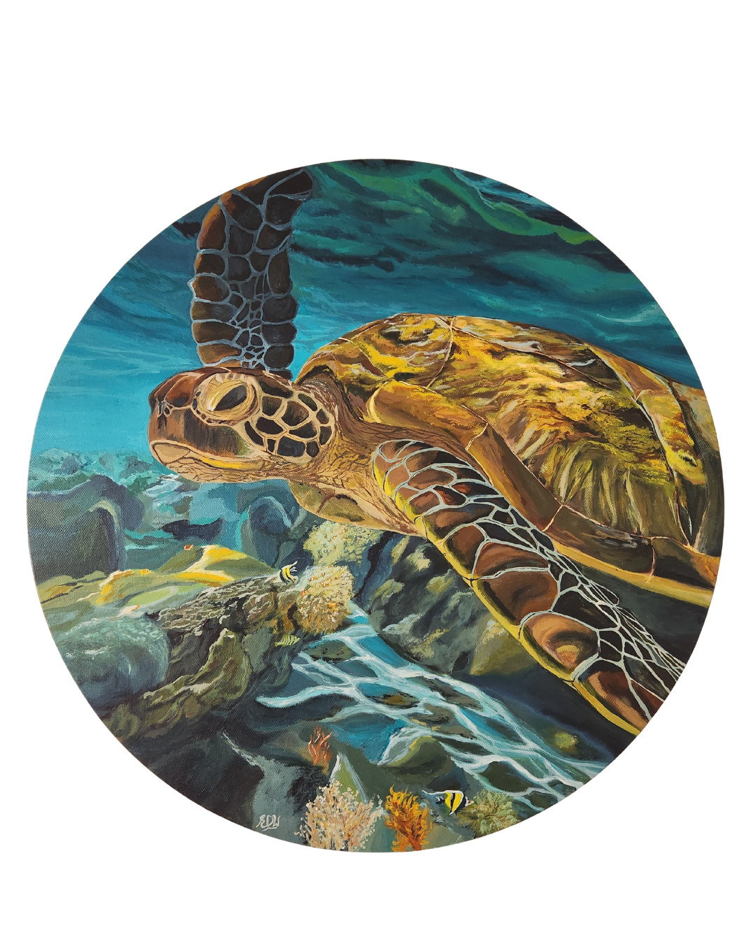 Turtle: Time (Original Canvas)