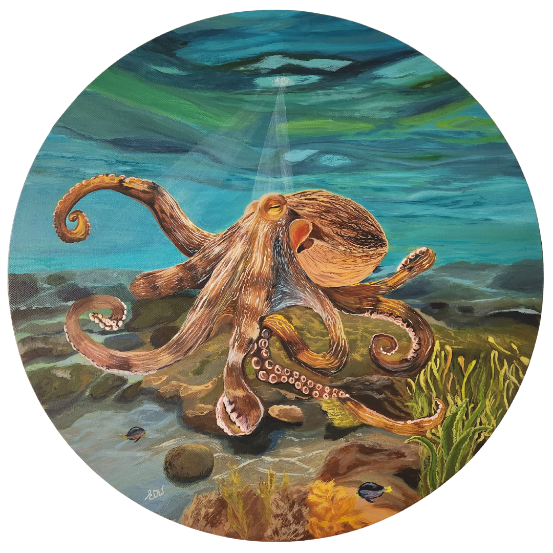 Octopus: Unfolding (Print)