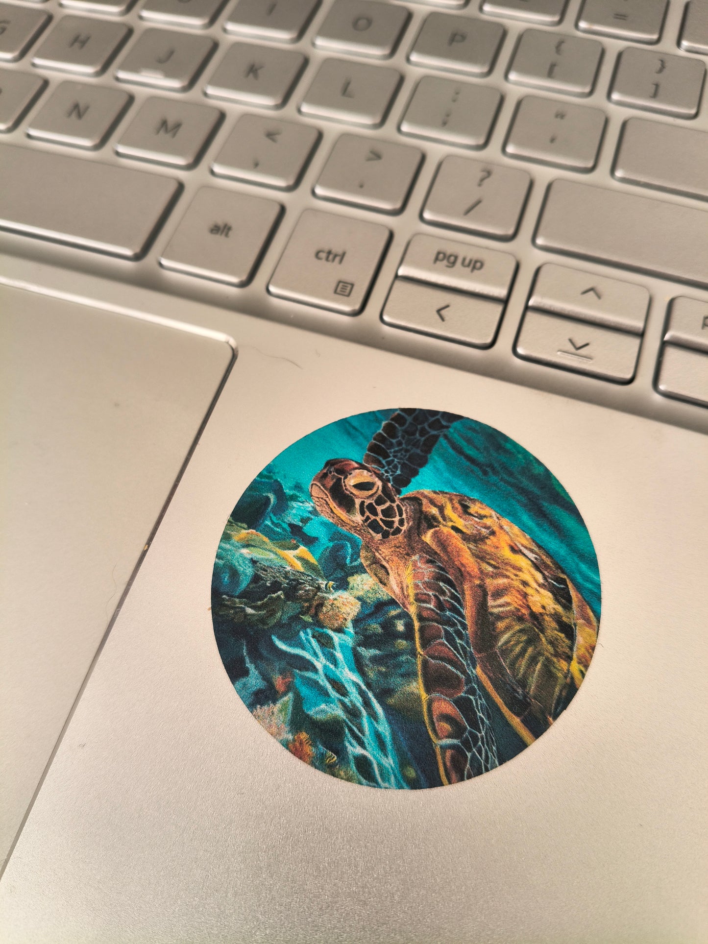 Time Turtle Vinyl Sticker