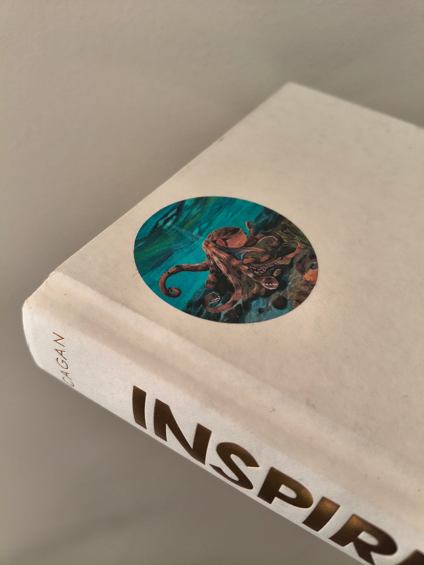 Unfolding Octopus Vinyl Sticker